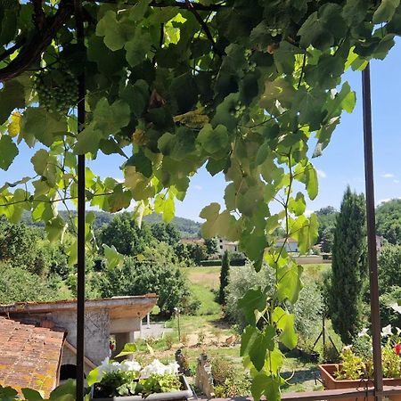 La Casa Nella Vigna Colline Del Vino Appartement Capannori Buitenkant foto