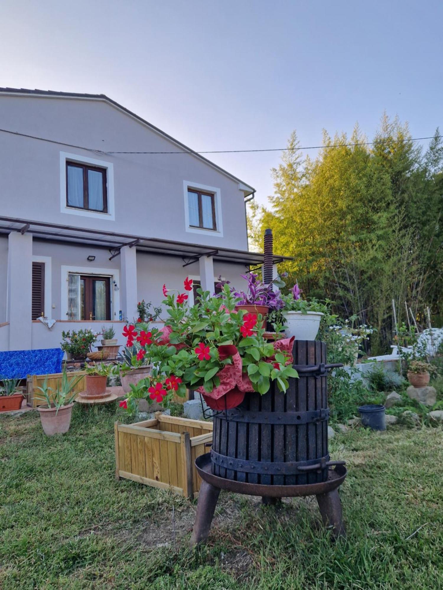 La Casa Nella Vigna Colline Del Vino Appartement Capannori Buitenkant foto
