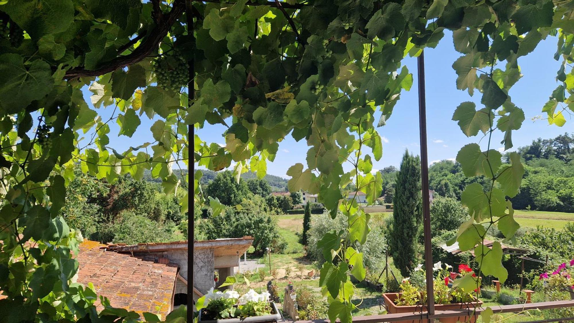 La Casa Nella Vigna Colline Del Vino Appartement Capannori Buitenkant foto